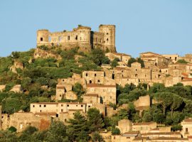 Immagine di anteprima per Consulta nazionale Anci: chiarimenti su piano aree interne