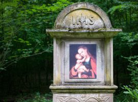 Immagine di anteprima per Edicole votive di campagna: tutela, identità e regole