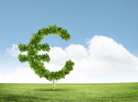 Immagine di anteprima per I dati Istat sulle tasse 