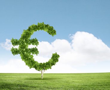 Immagine dell’articolo: I dati Istat sulle tasse "ambientali": quanto guadagna lo Stato su cittadini e imprese?